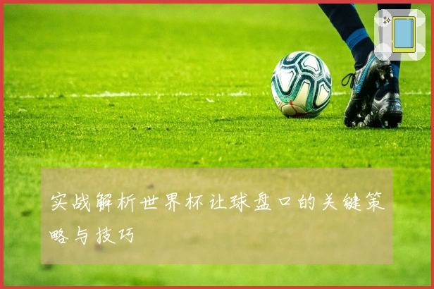 实战解析世界杯让球盘口的关键策略与技巧