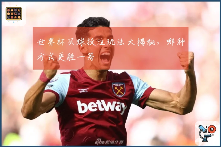世界杯买球投注玩法大揭秘，哪种方式更胜一筹