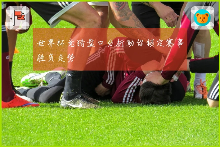 世界杯竞猜盘口分析助你锁定赛事胜负走势