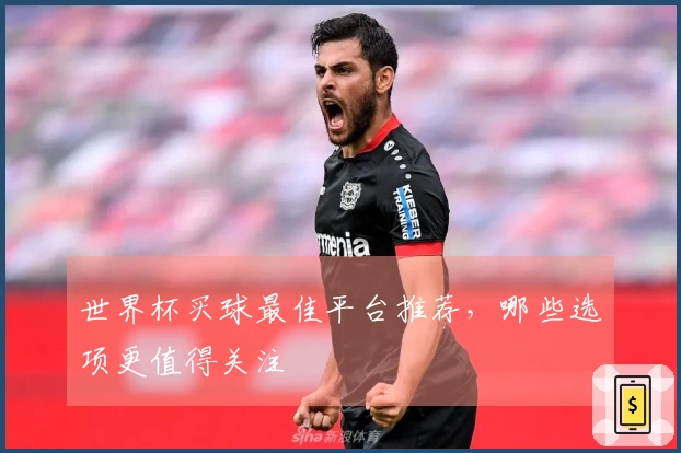 世界杯买球最佳平台推荐，哪些选项更值得关注