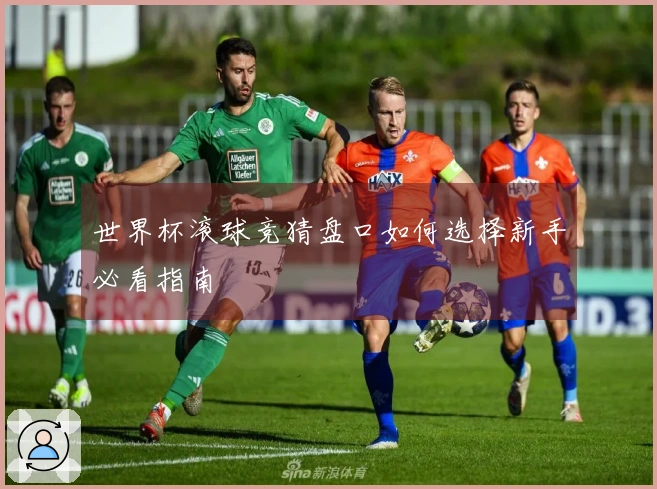 世界杯滚球竞猜盘口如何选择新手必看指南