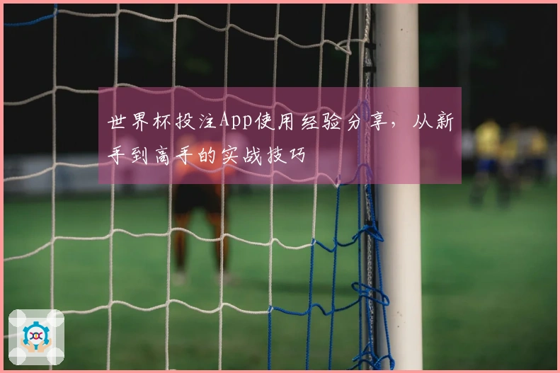 世界杯投注App使用经验分享，从新手到高手的实战技巧