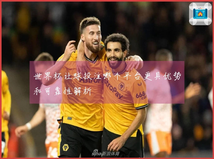 世界杯让球投注哪个平台更具优势和可靠性解析