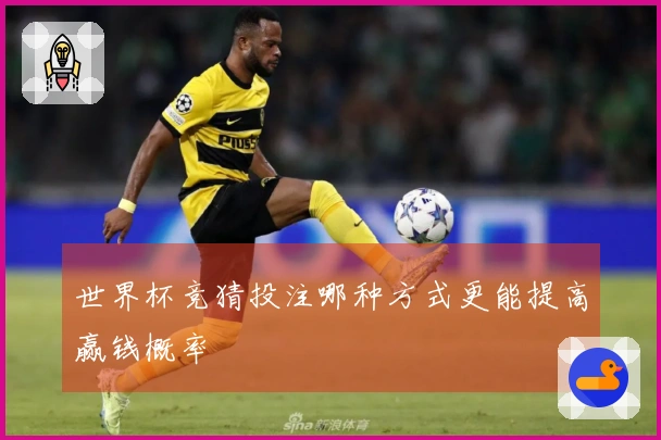 世界杯竞猜投注哪种方式更能提高赢钱概率