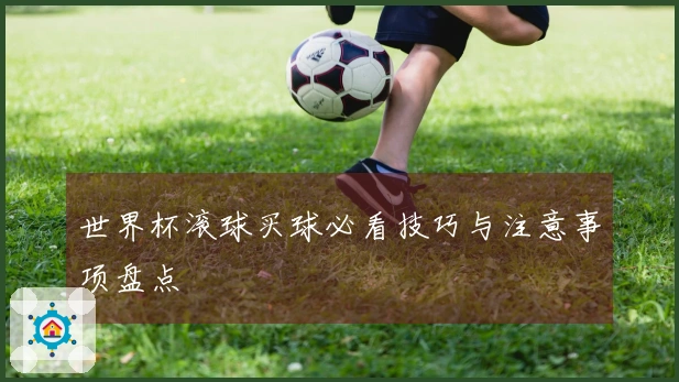 世界杯滚球买球必看技巧与注意事项盘点