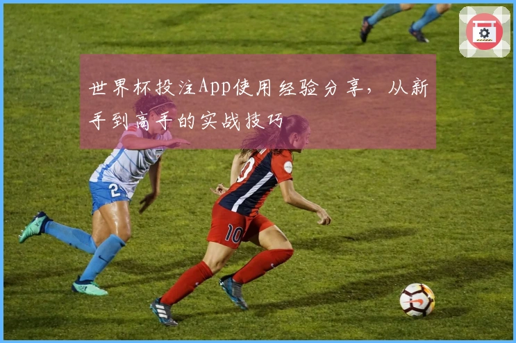 世界杯投注App使用经验分享，从新手到高手的实战技巧