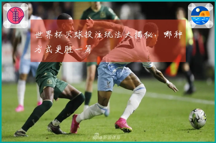 世界杯买球投注玩法大揭秘，哪种方式更胜一筹